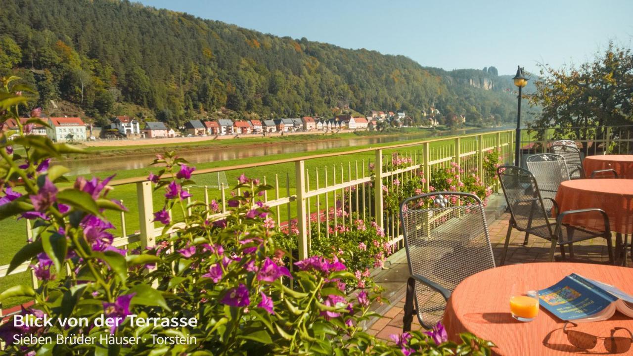 Elbaussicht - Krippen Apartment Bad Schandau